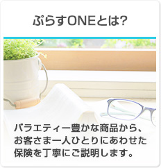 ぷらすONEとは？